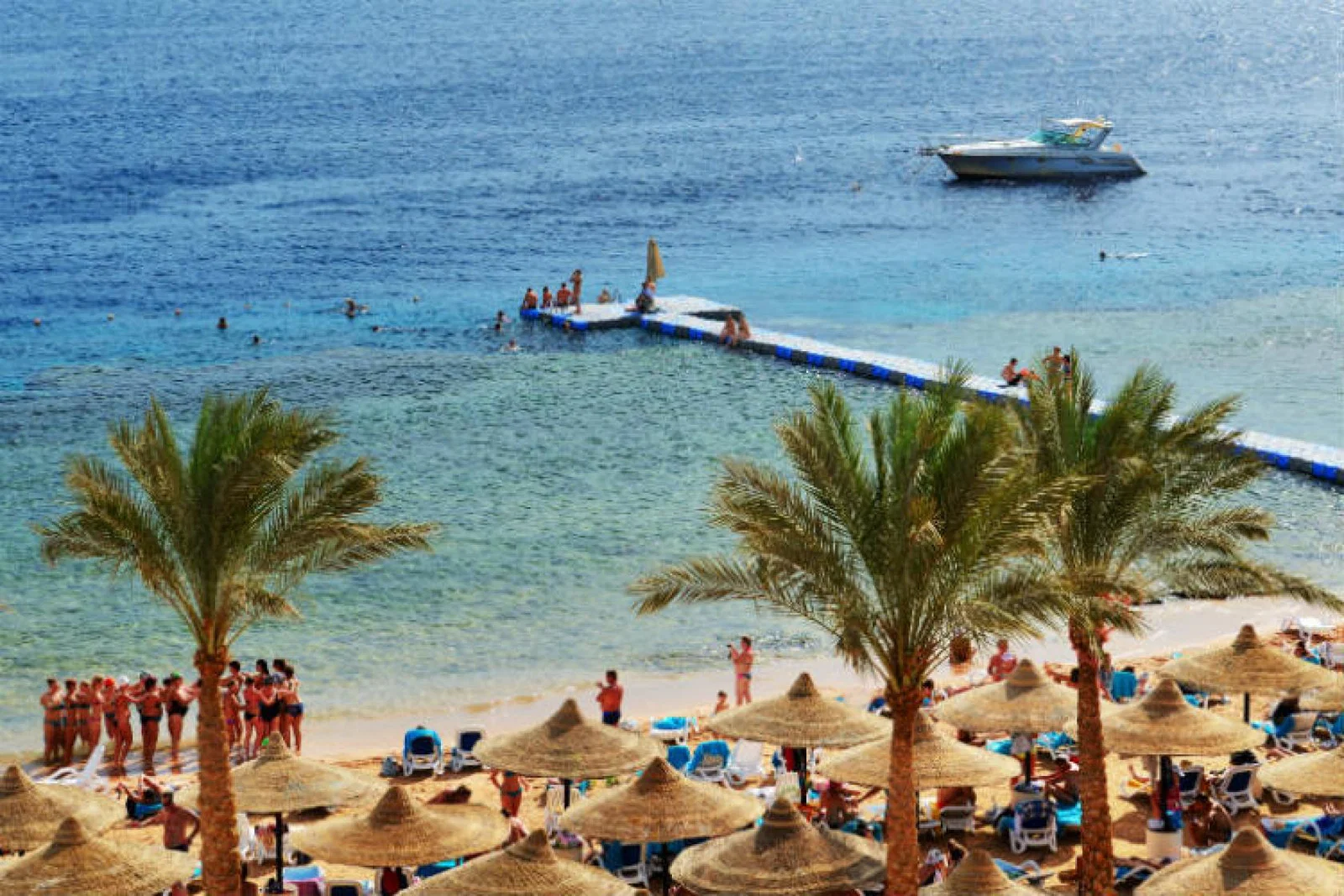 Wizz will head to Sharm later this year