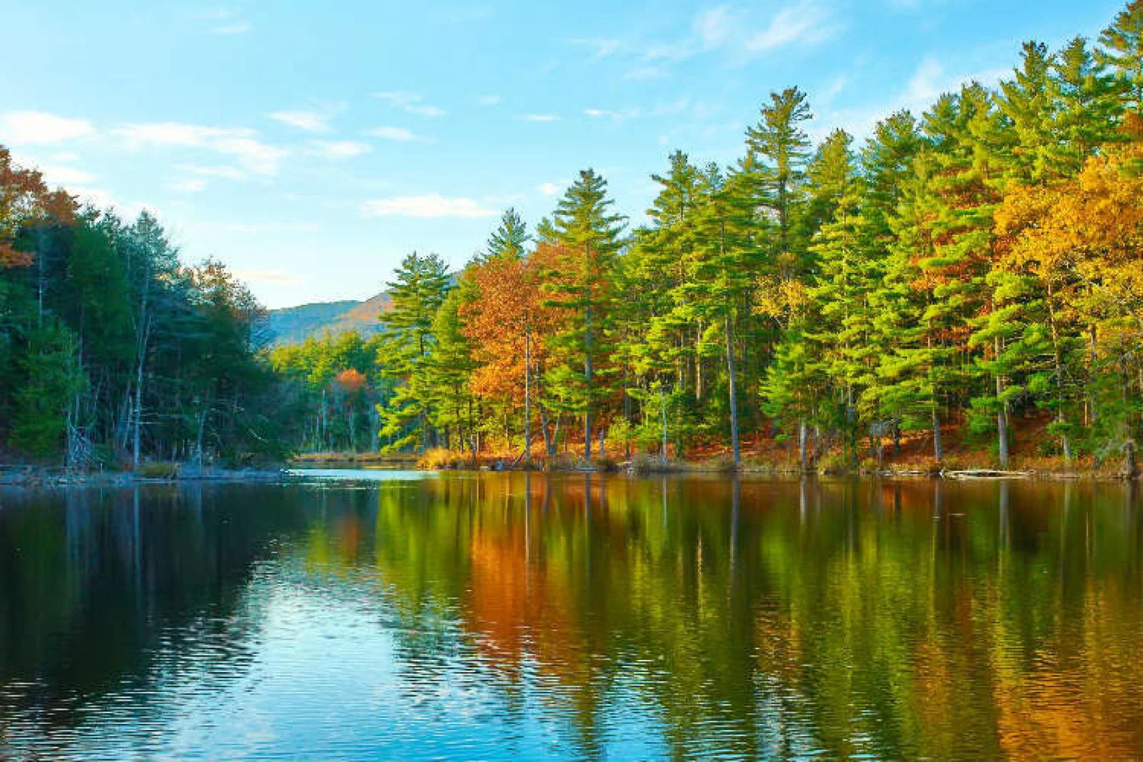 New Hampshire, New England, fall