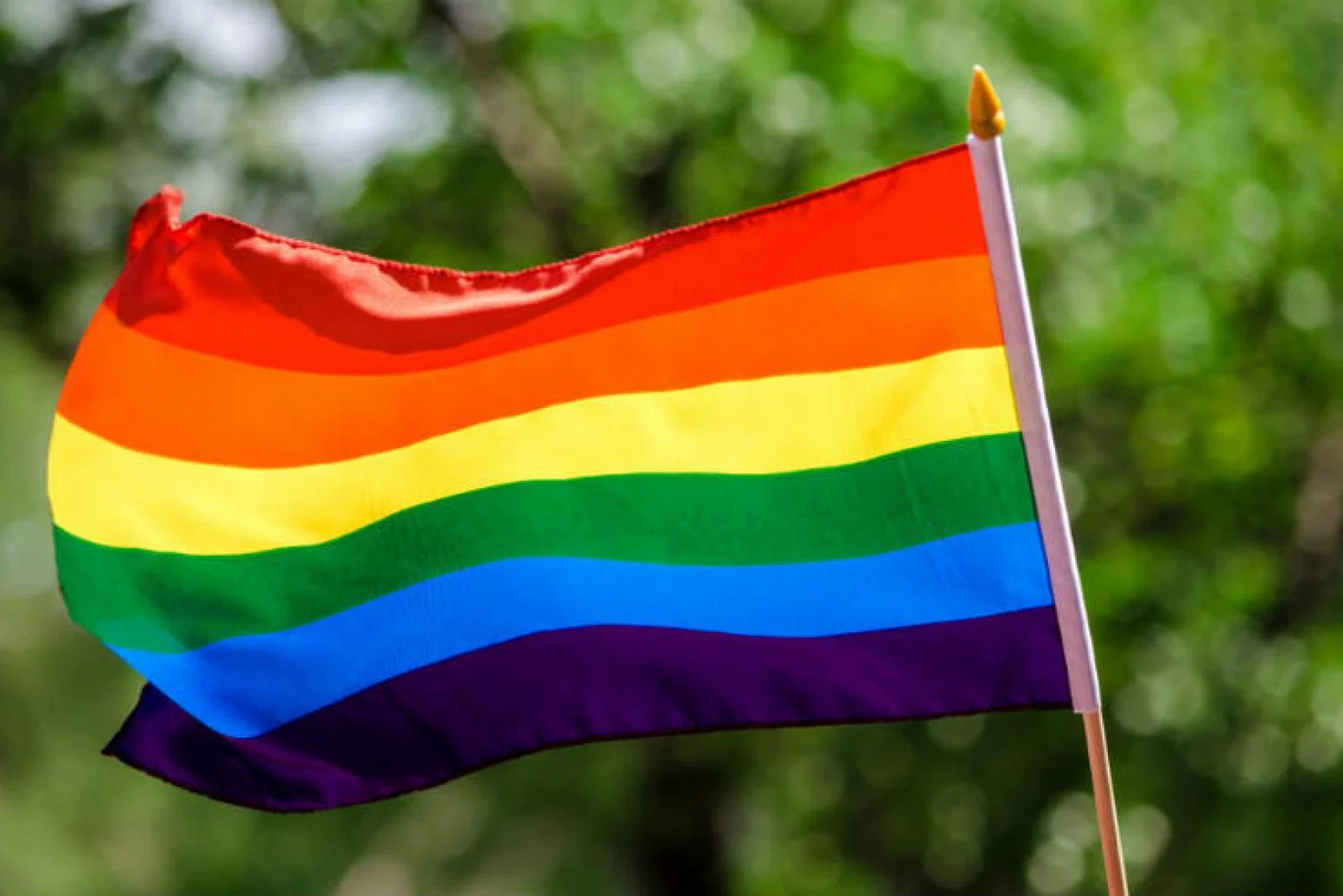 LGBT flag.jpg