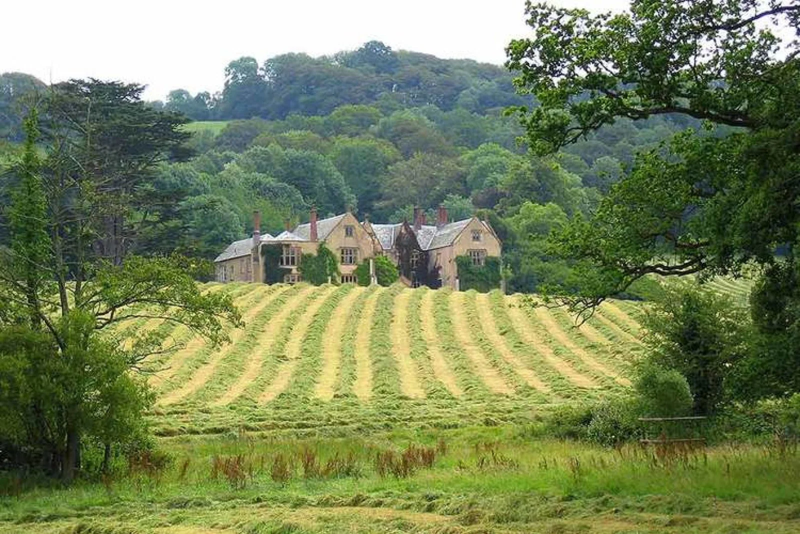 Combe-House-Devon-Summer.jpg