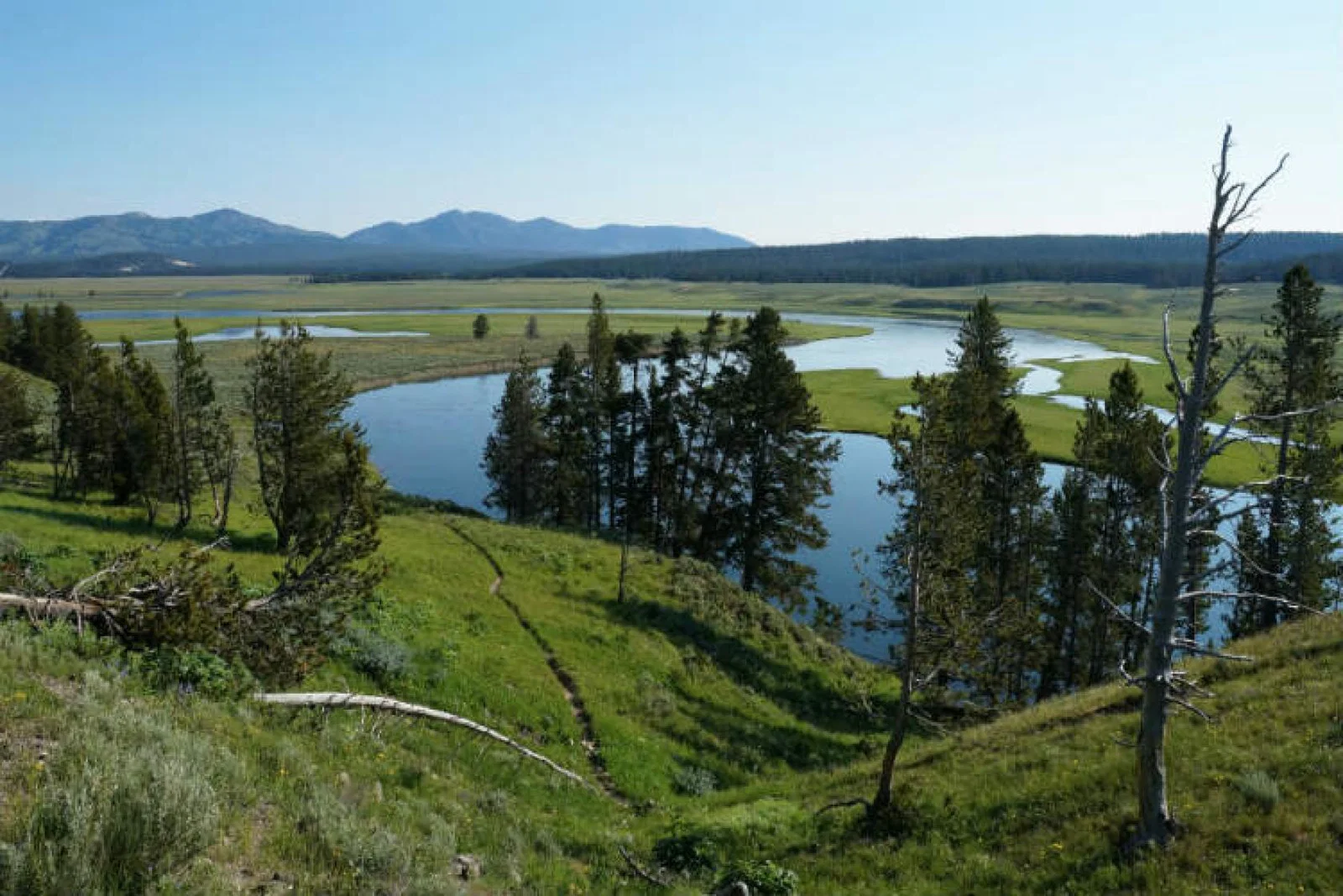 Yellowstone National Park ThinkstockPhotos-511801004