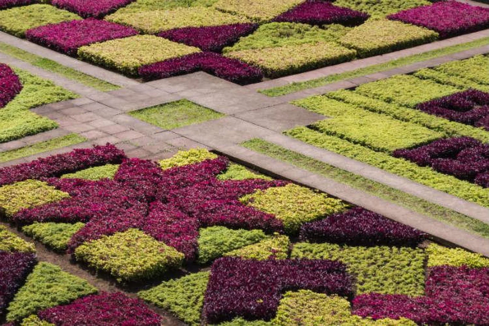 Madeira gardens flowers ThinkstockPhotos-509711254
