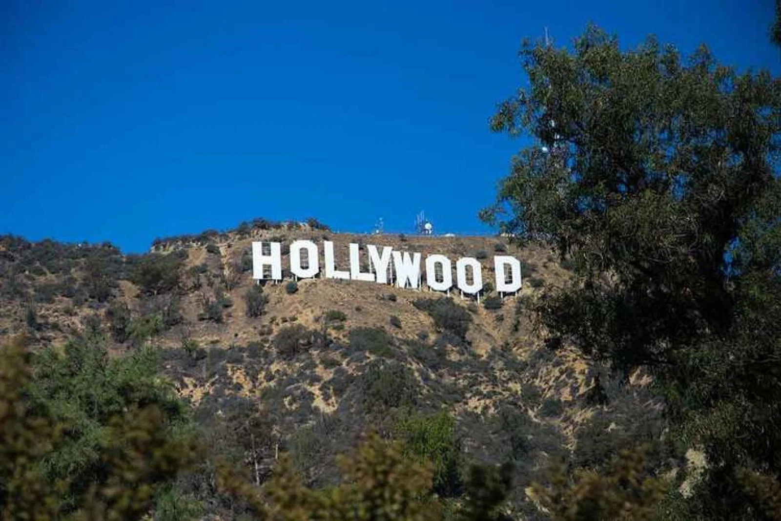 Hollywood---Hollywood-Sign.jpg