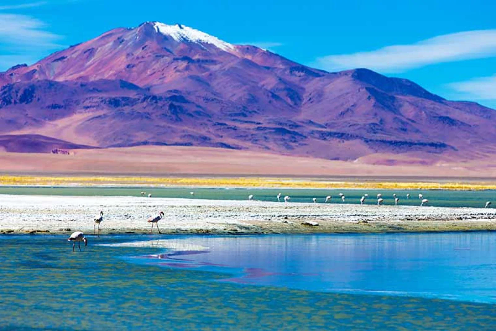 Atacama Desert Wendy Wu Tours.jpg