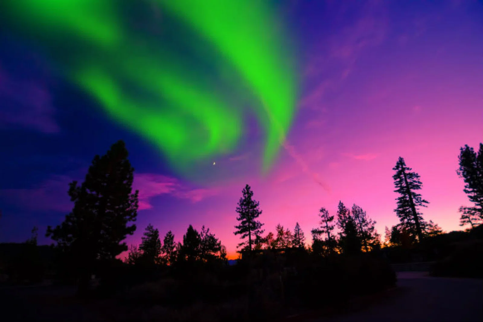 Iceland: The Northern Lights