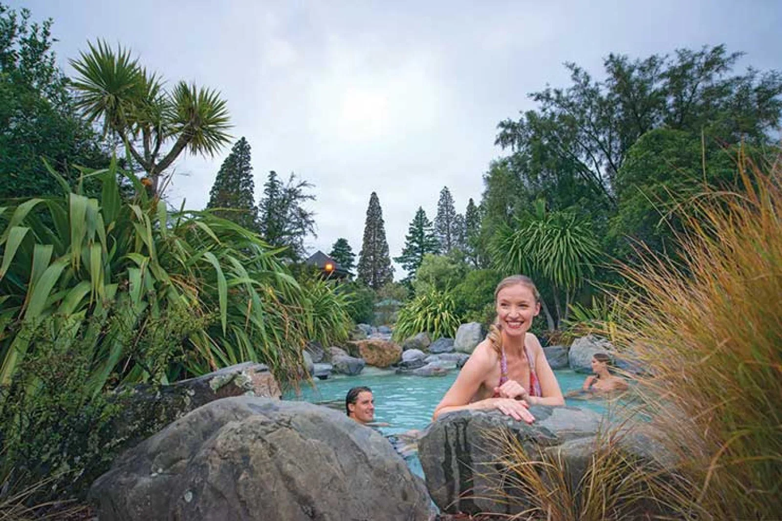 Silver Fern, Hanmer Springs, New Zealand