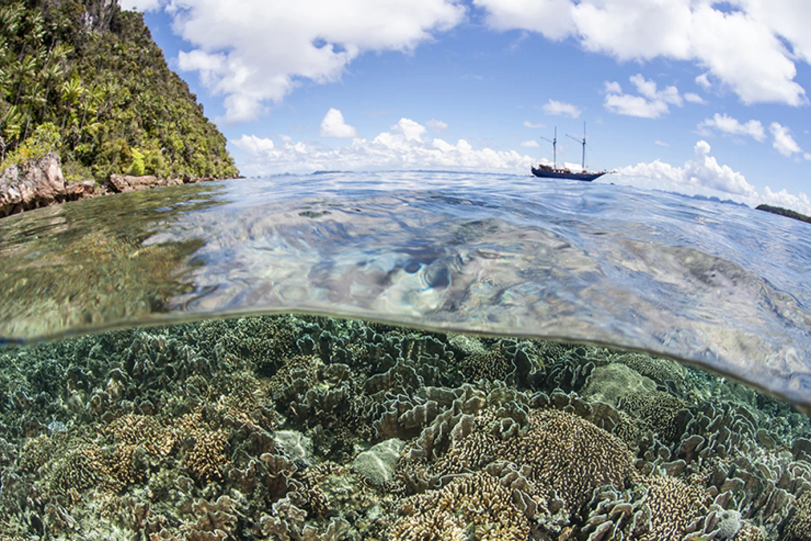 The industry's concern for the underwater environment is a concern, research found