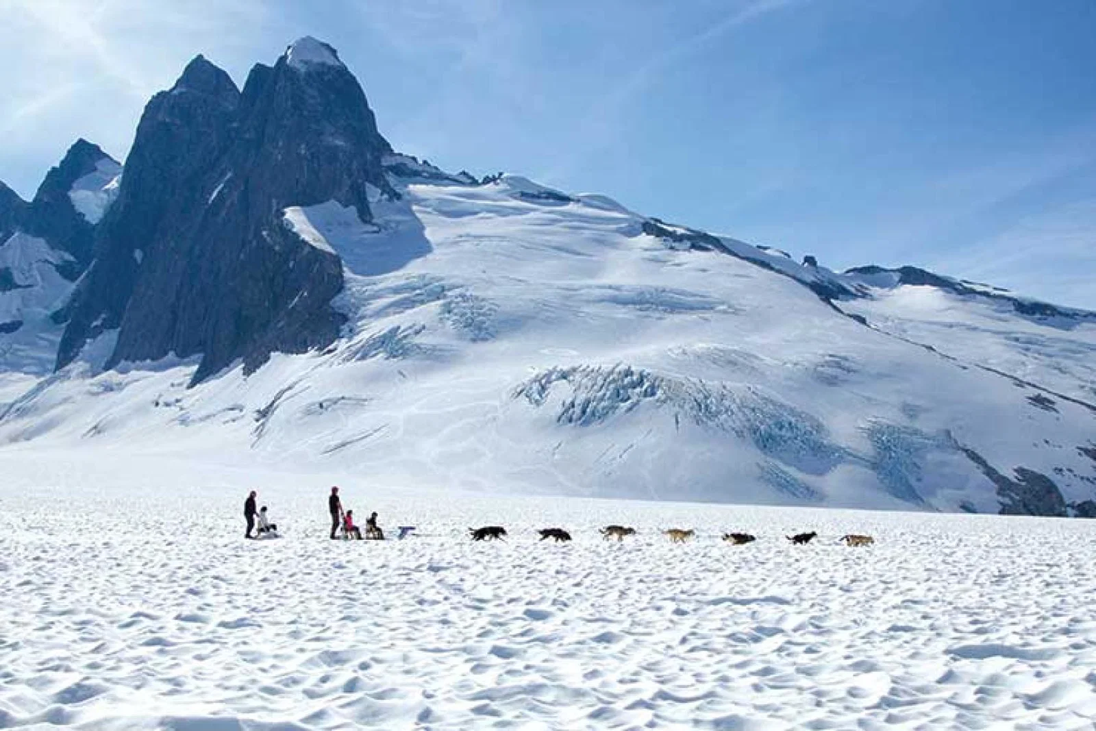 Husky dog sled in Juneau, Alaska