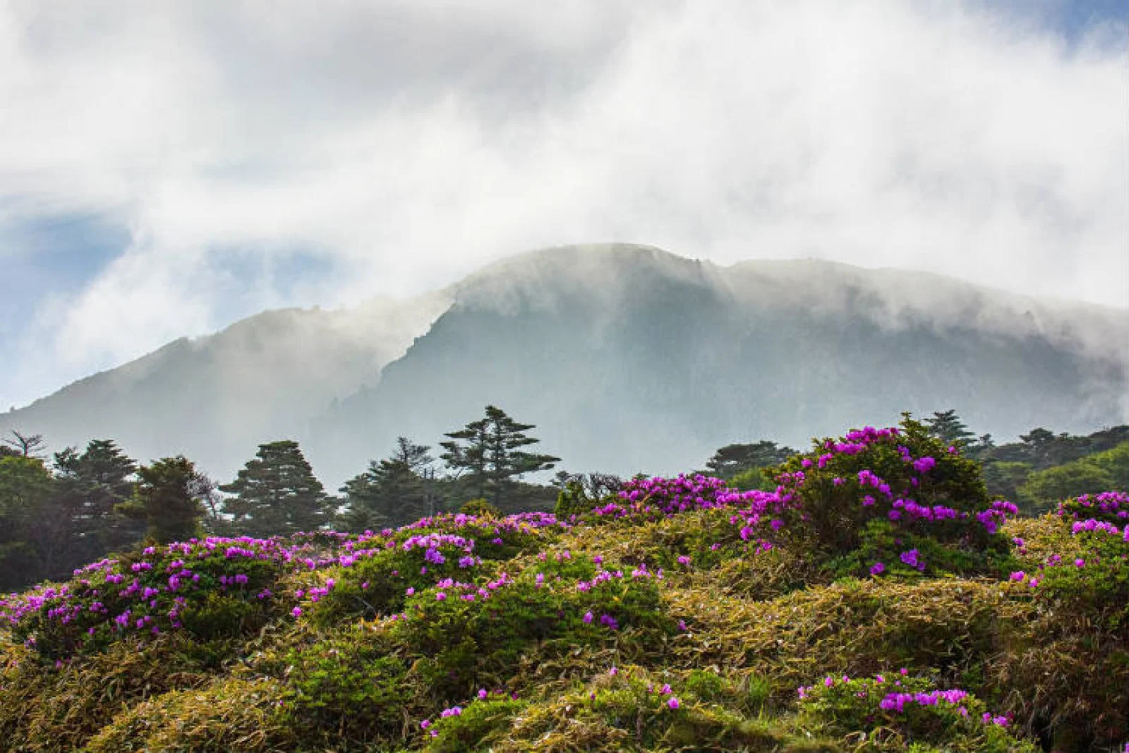 Jeju island in South Korea