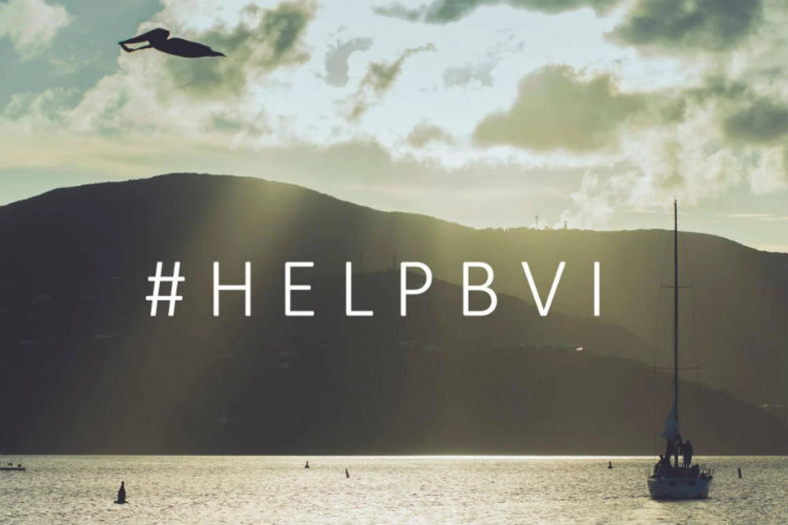 Help BVIs