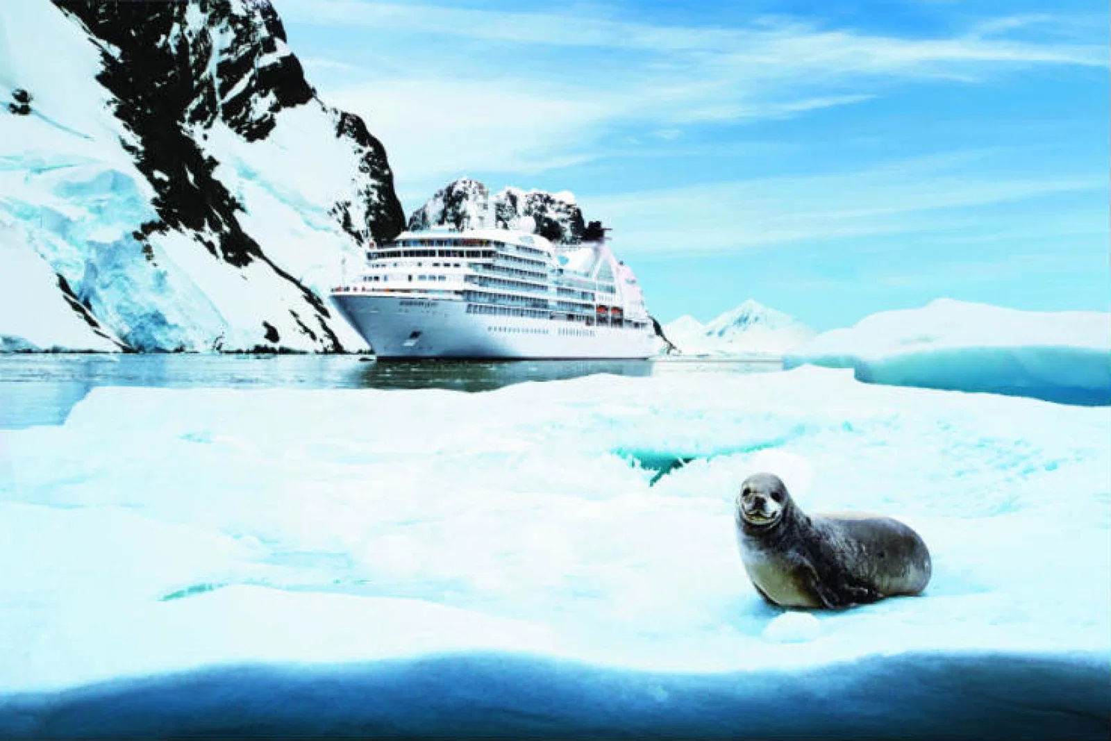 SEABOURN QUEST in Antartica with a seal.jpg