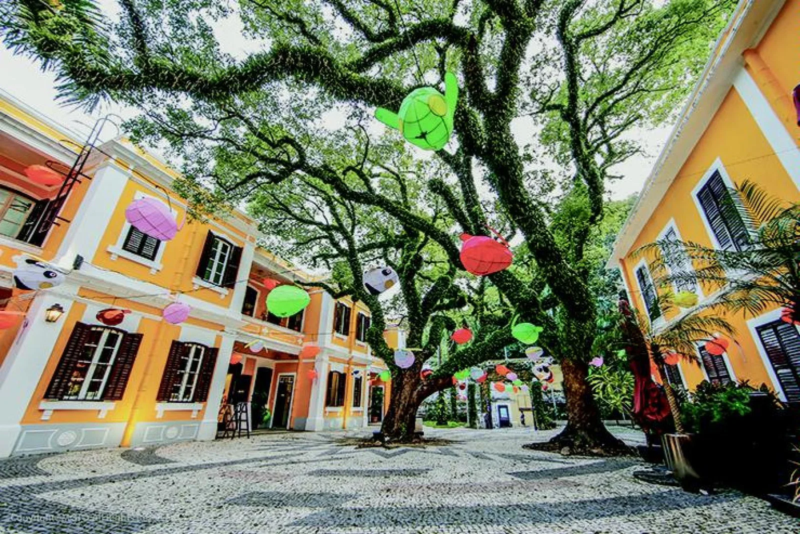 Discover Macao's historic highlights and unique attractions