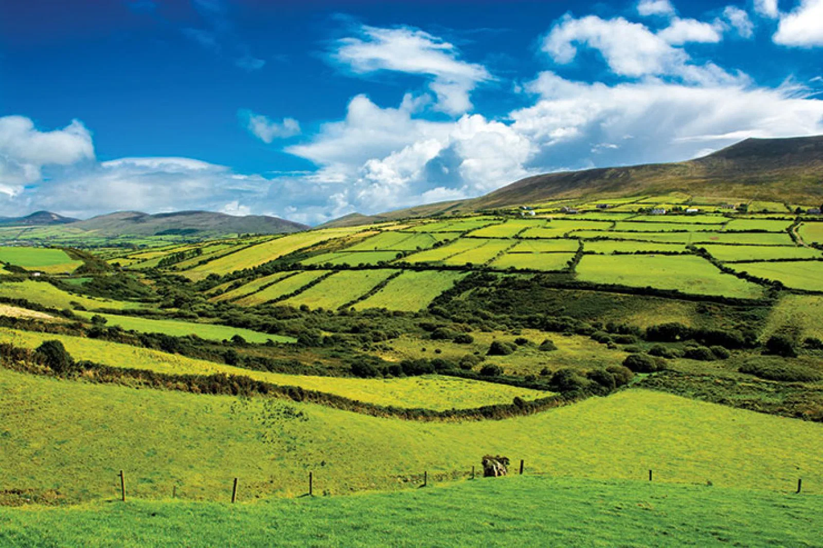 Ireland-fields.jpg