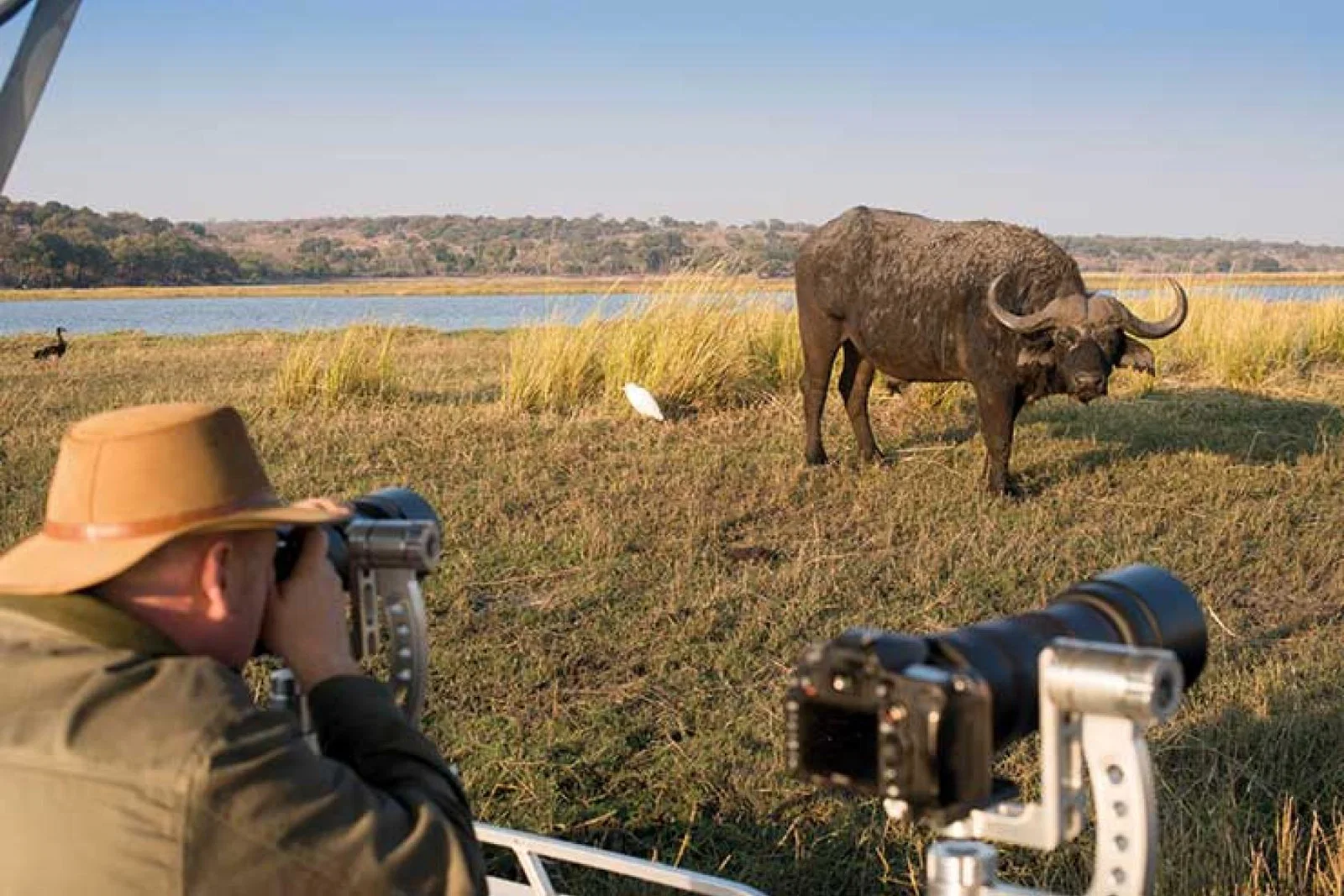 Botswana explorer activities safari