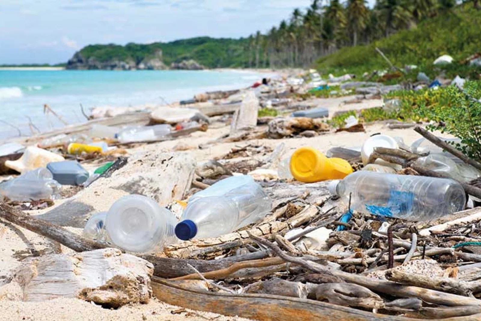 Trash, litter and refuse on the beach