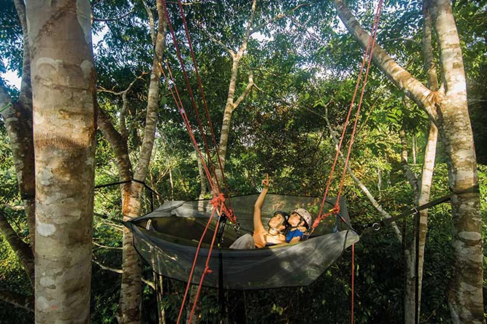 Tropical Tree Climbing six million stars