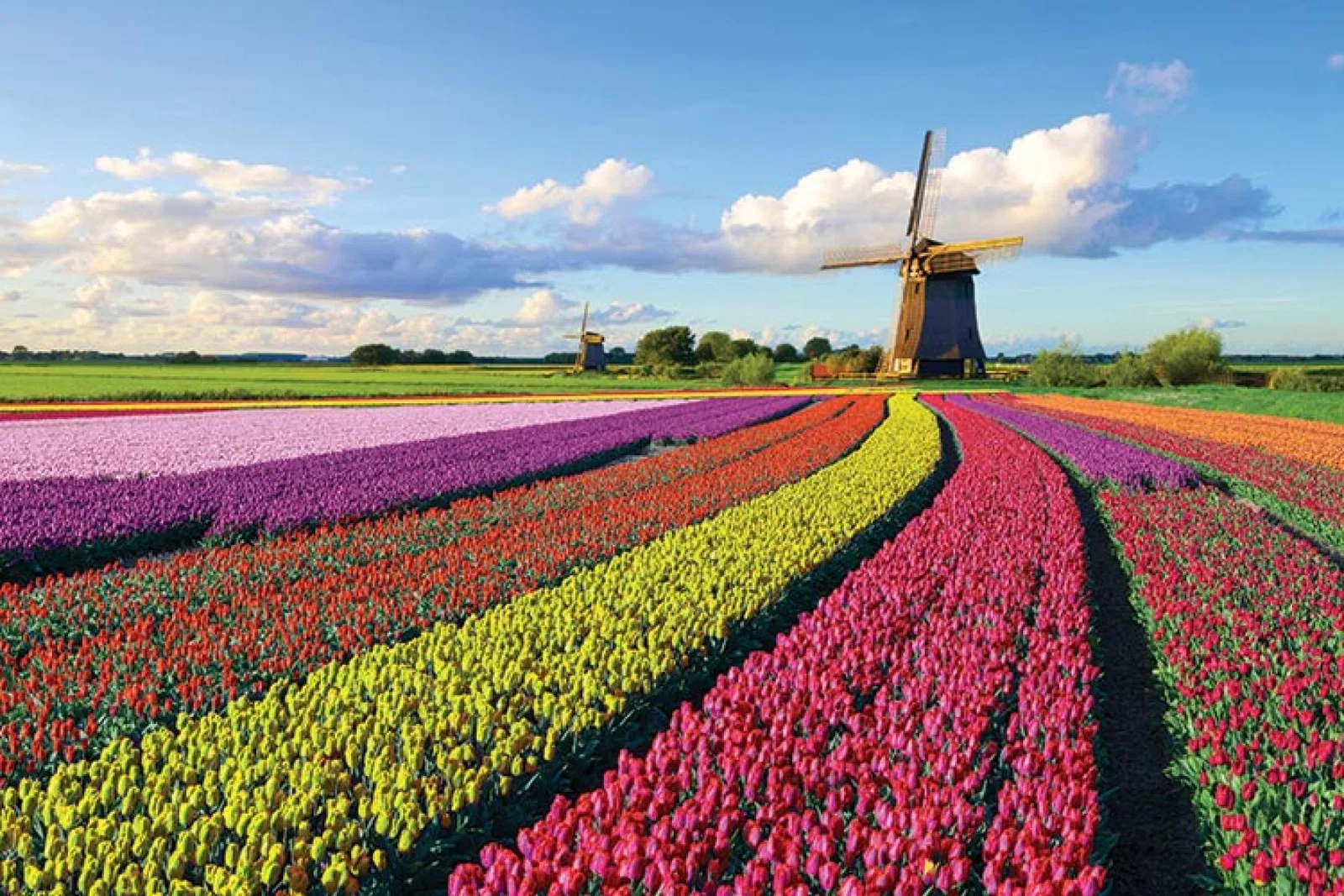 The Netherlands was among six countries, along with France, to have its quarantine-free travel corridor revoked on Thursday