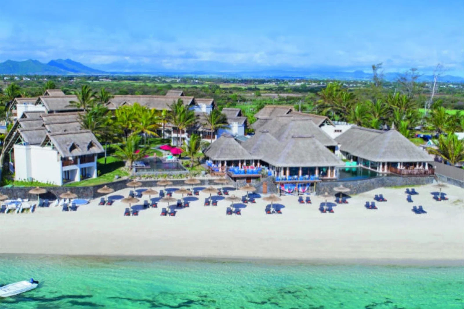 C Palmar Mauritius.jpg