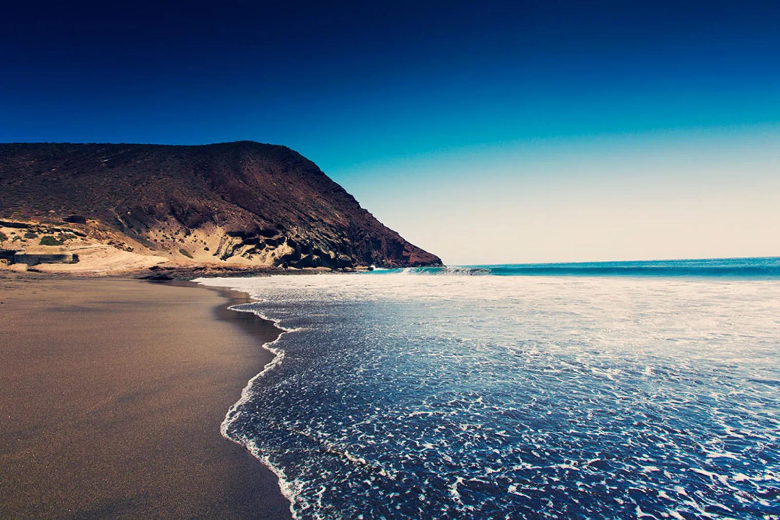 Lush jungle