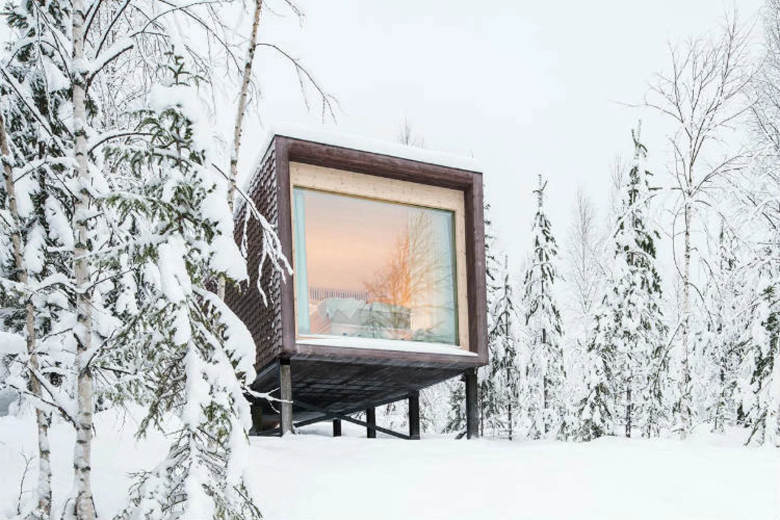 Arctic Tree House Hotel Finland