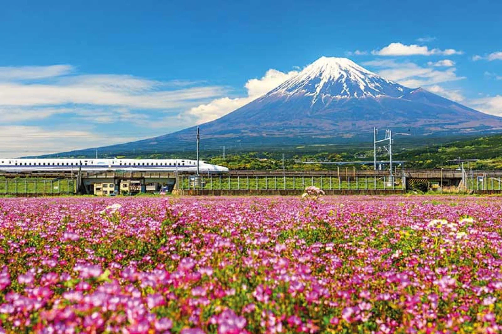 Railbookers Bullet Train passes Mount Fuji