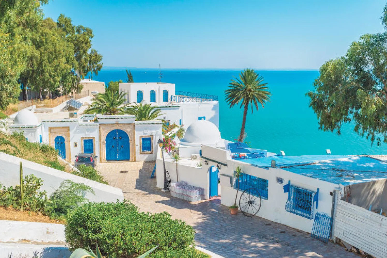 Tunisia 🇹🇳