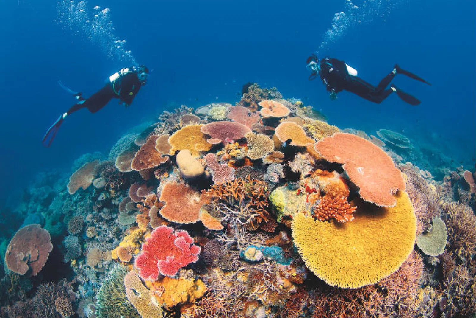 First Class Holidays Great Barrier Reef.jpg