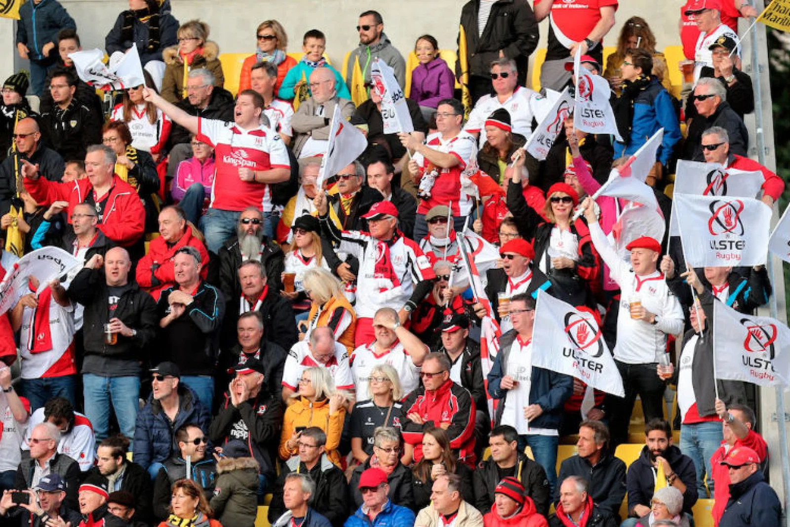 Ulster Rugby.jpg