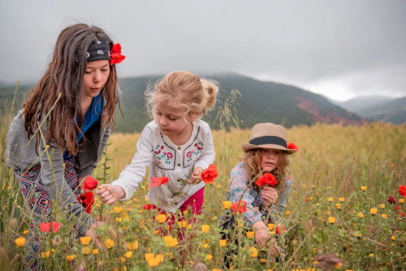 Intrepid Travel wants its staff to get behind Climate Strike