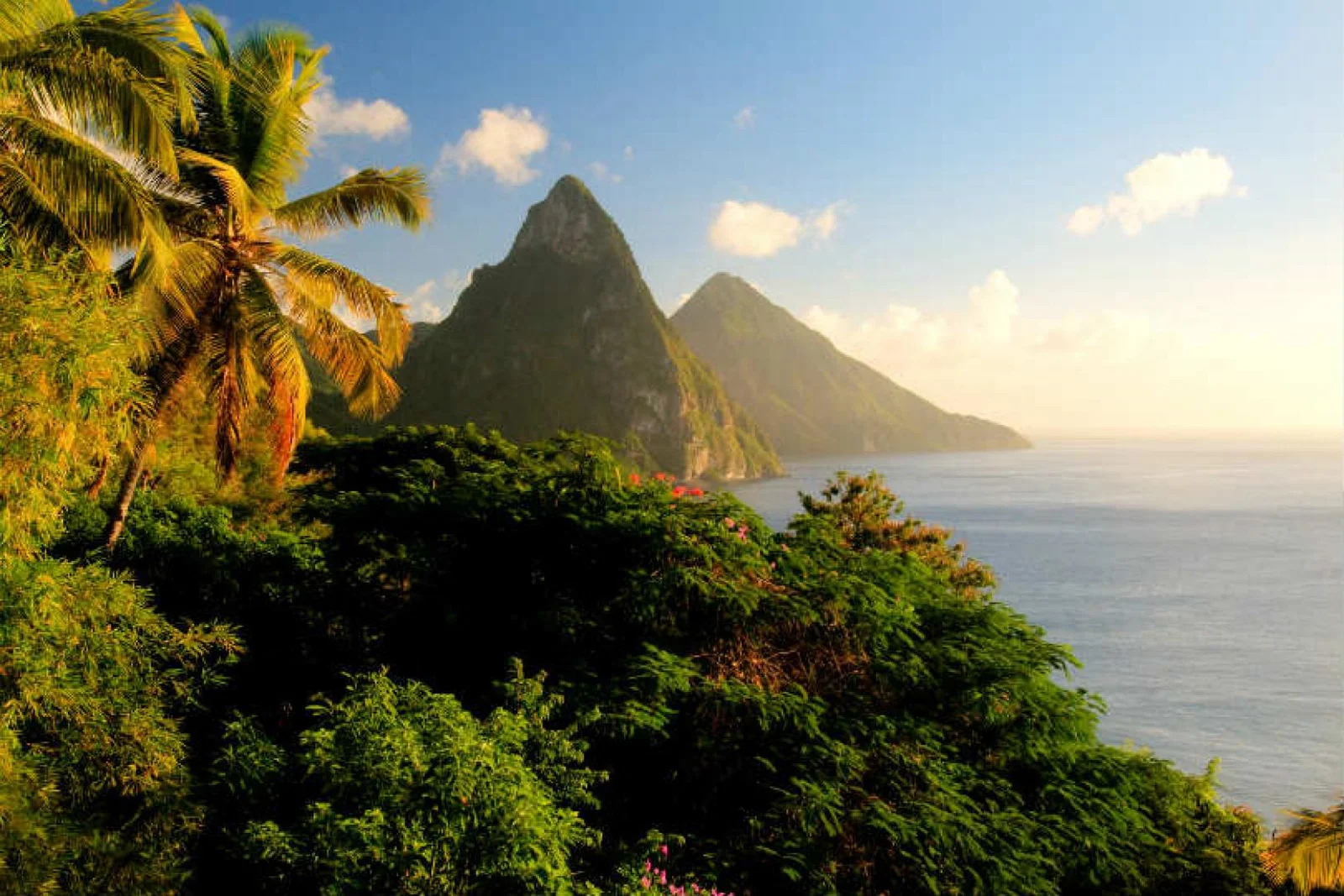 The CTO’s Caribbean Showcase aims to “encourage new relationships and promote diverse product”