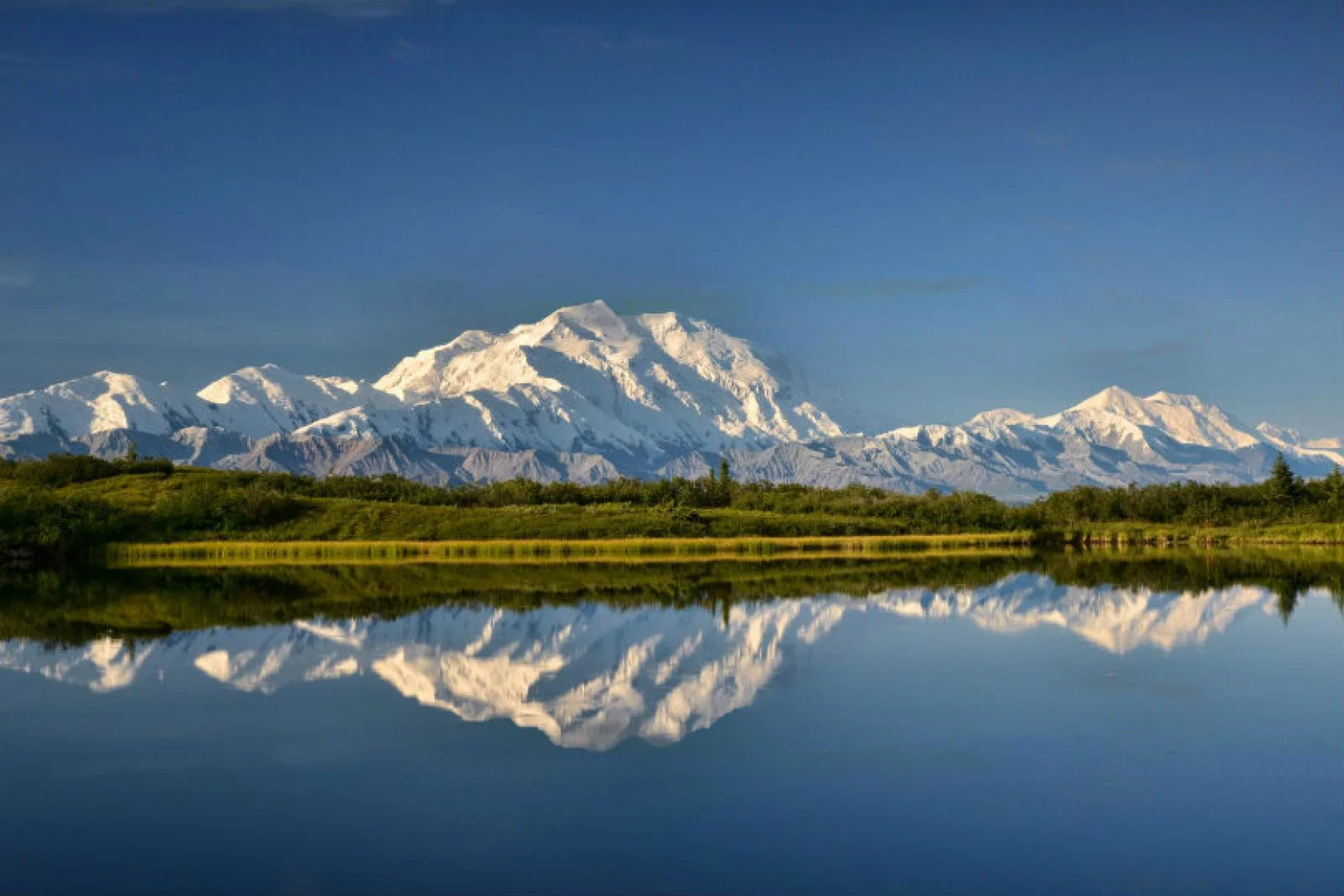 Denali National Park is a feature of Princess's Alaska programme