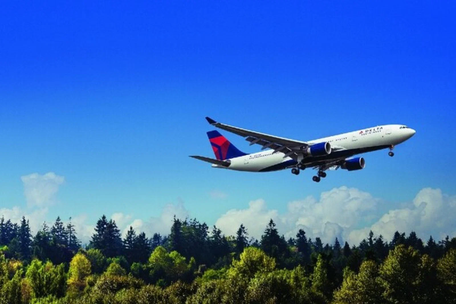 Delta Air Lines Web.jpg.jpg