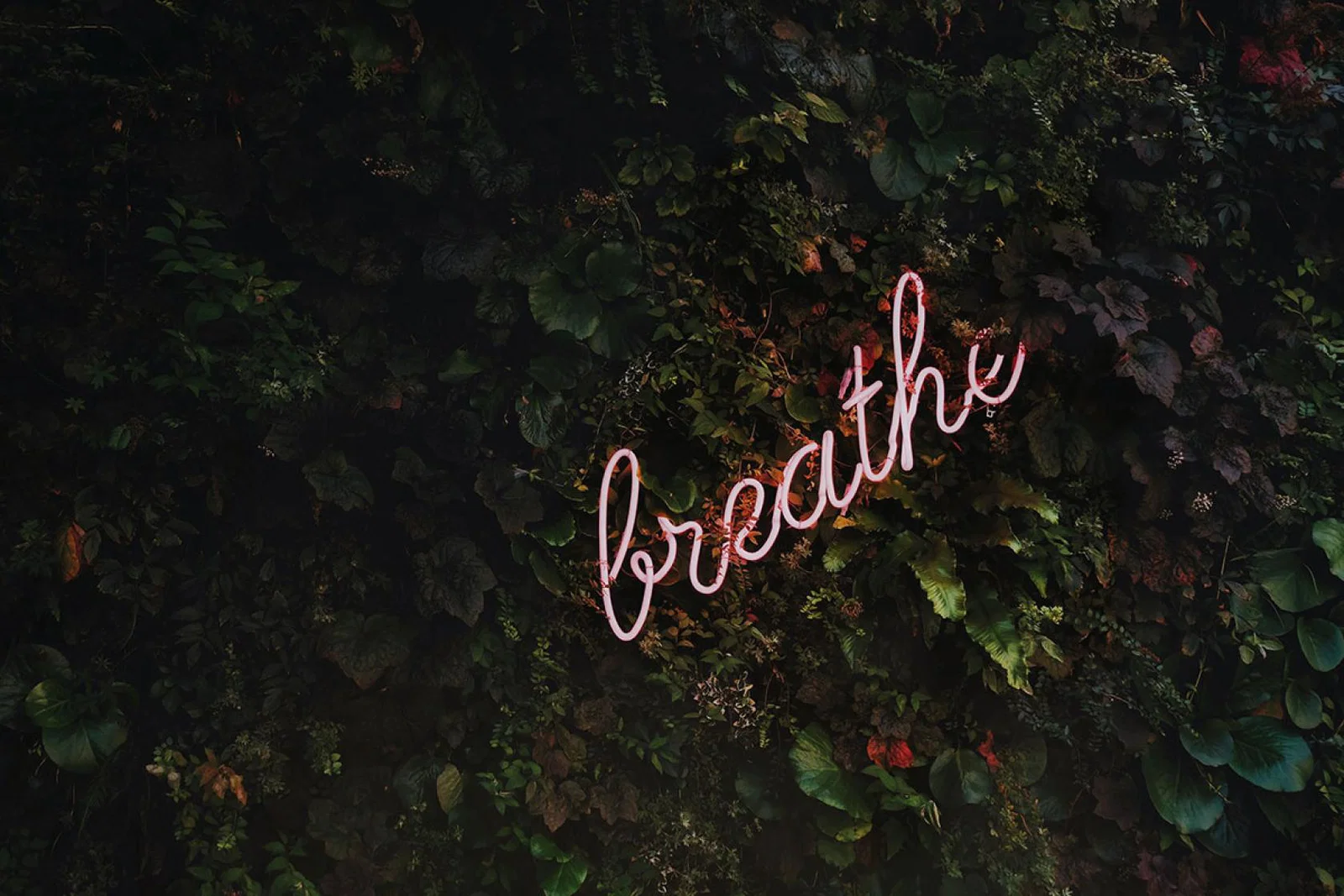 Mental health has been in the spotlight during the pandemic (Credit: Tim Goedhart/Unsplash)