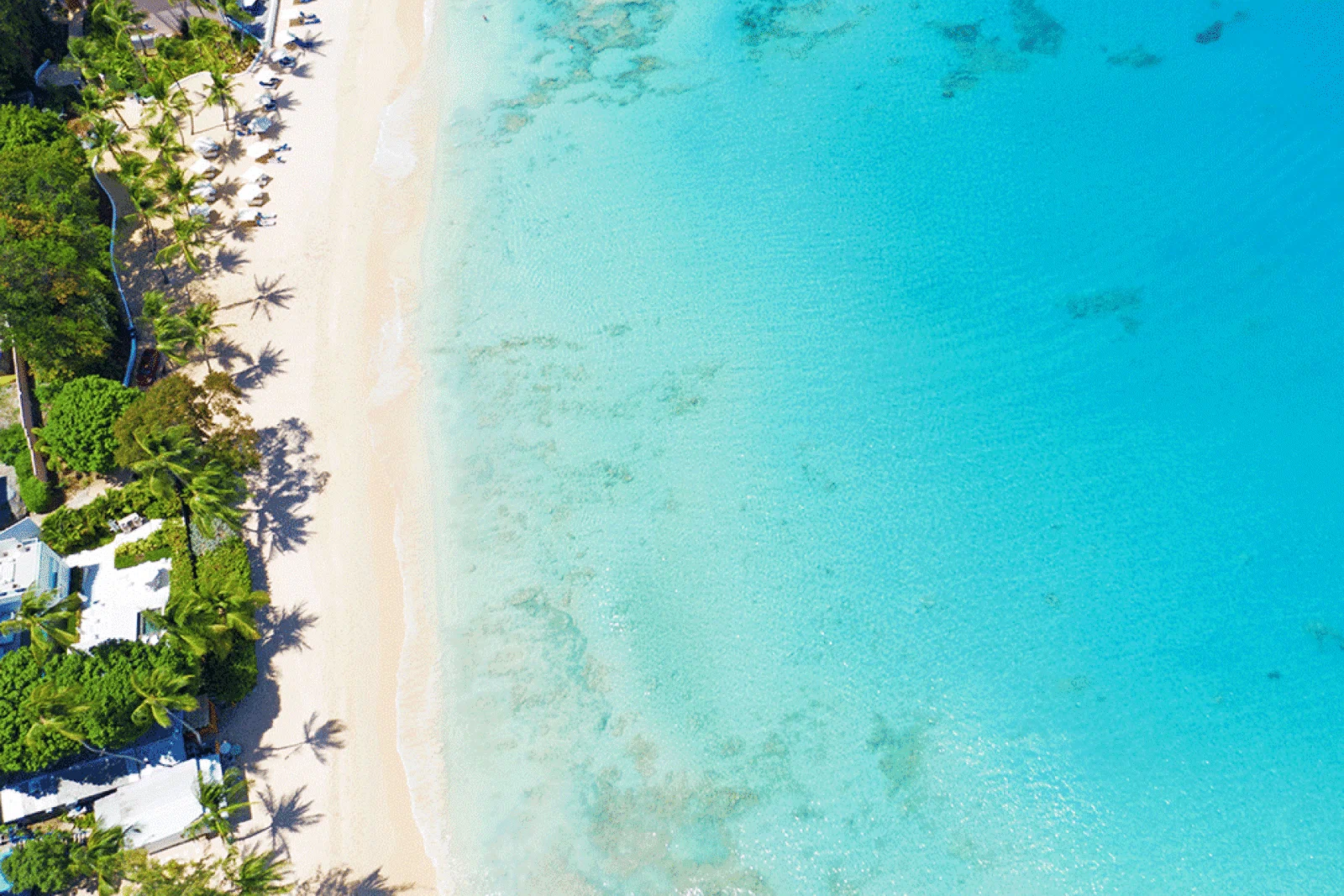 Barbados's minister of tourism Lisa Cummins said the expansion "underpins Tui's confidence" in the Caribbean island