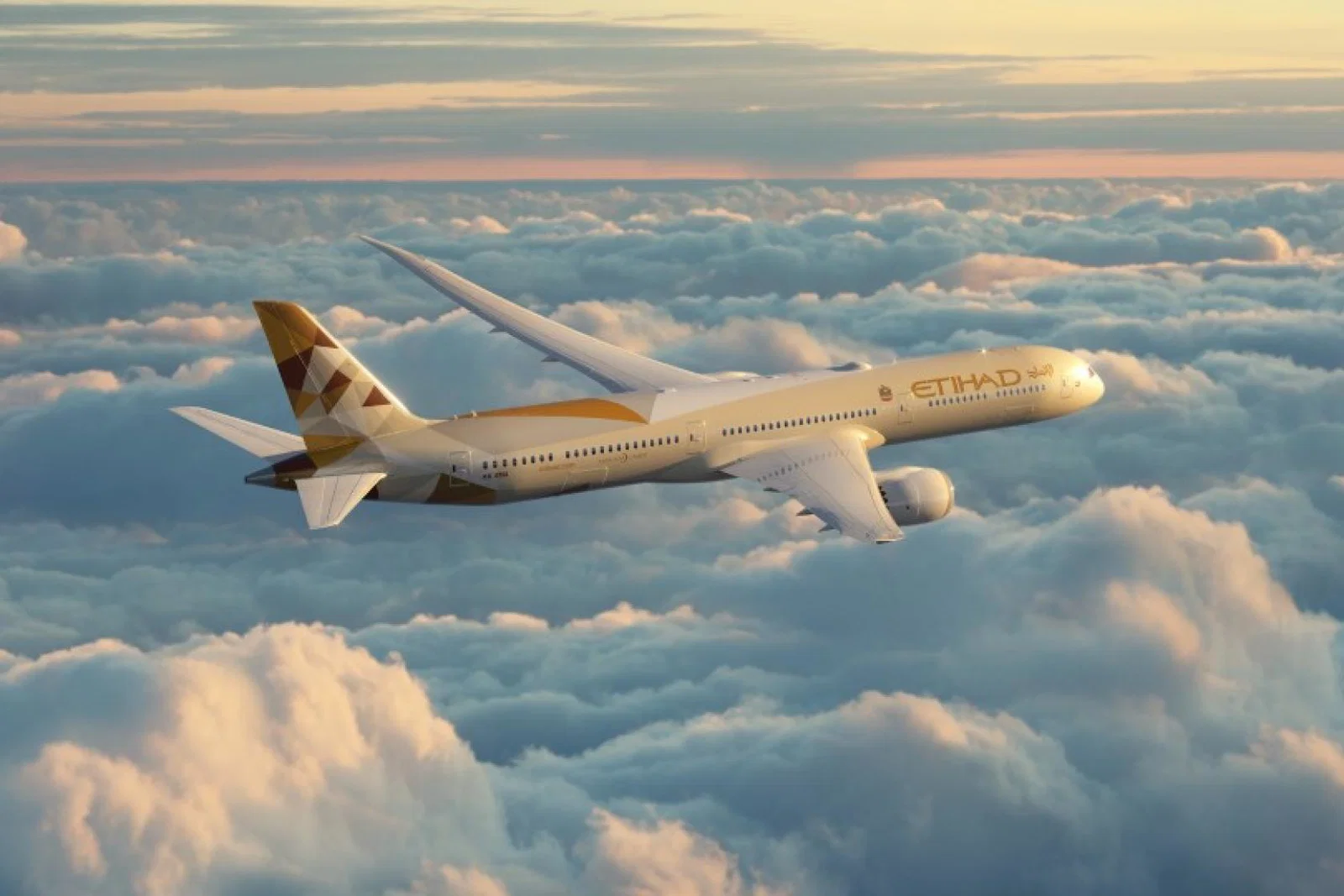 Etihad says the marketplace is unlikely to change in the foreseeable future