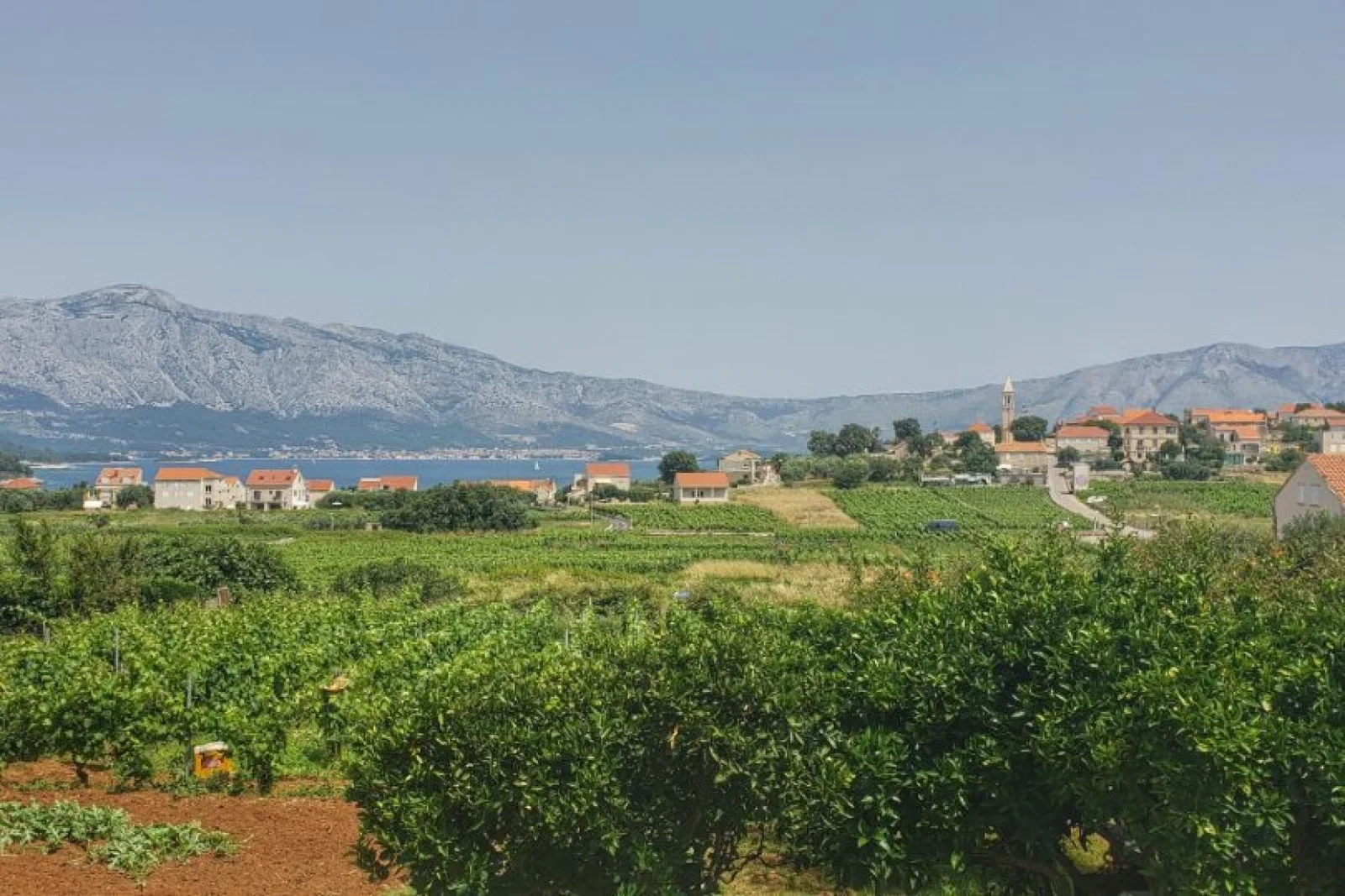 Croatia's wine region of Lumbarda is among Audley's additions