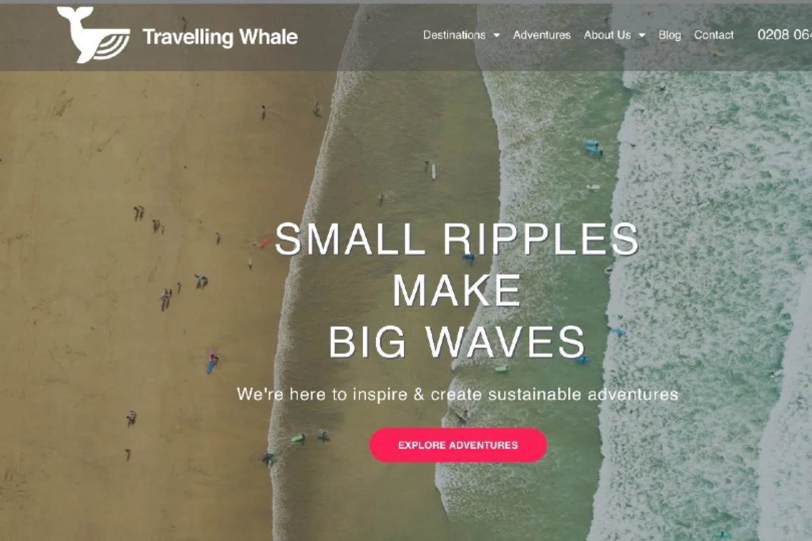 Travelling Whale will be donating 1% of its profits to a wildlife charity