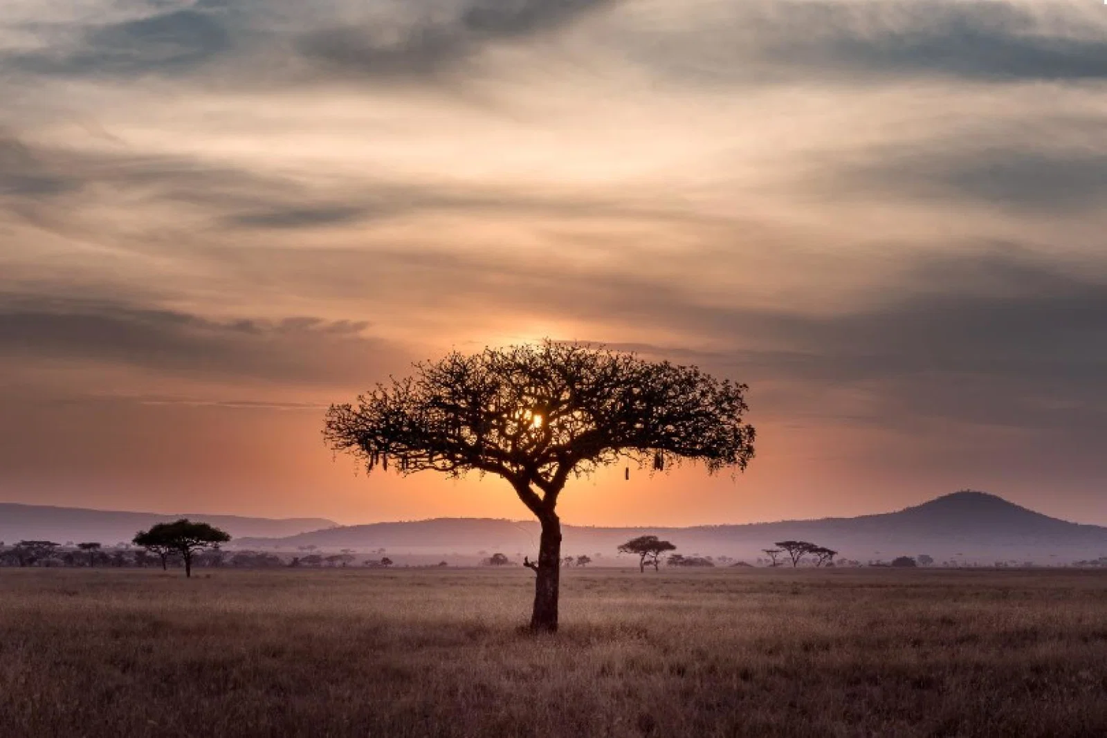 Travel to southern Africa has been hit with an "enormous dent to consumer confidence" says Mears (Image credit:Hu Chen/Unsplash)