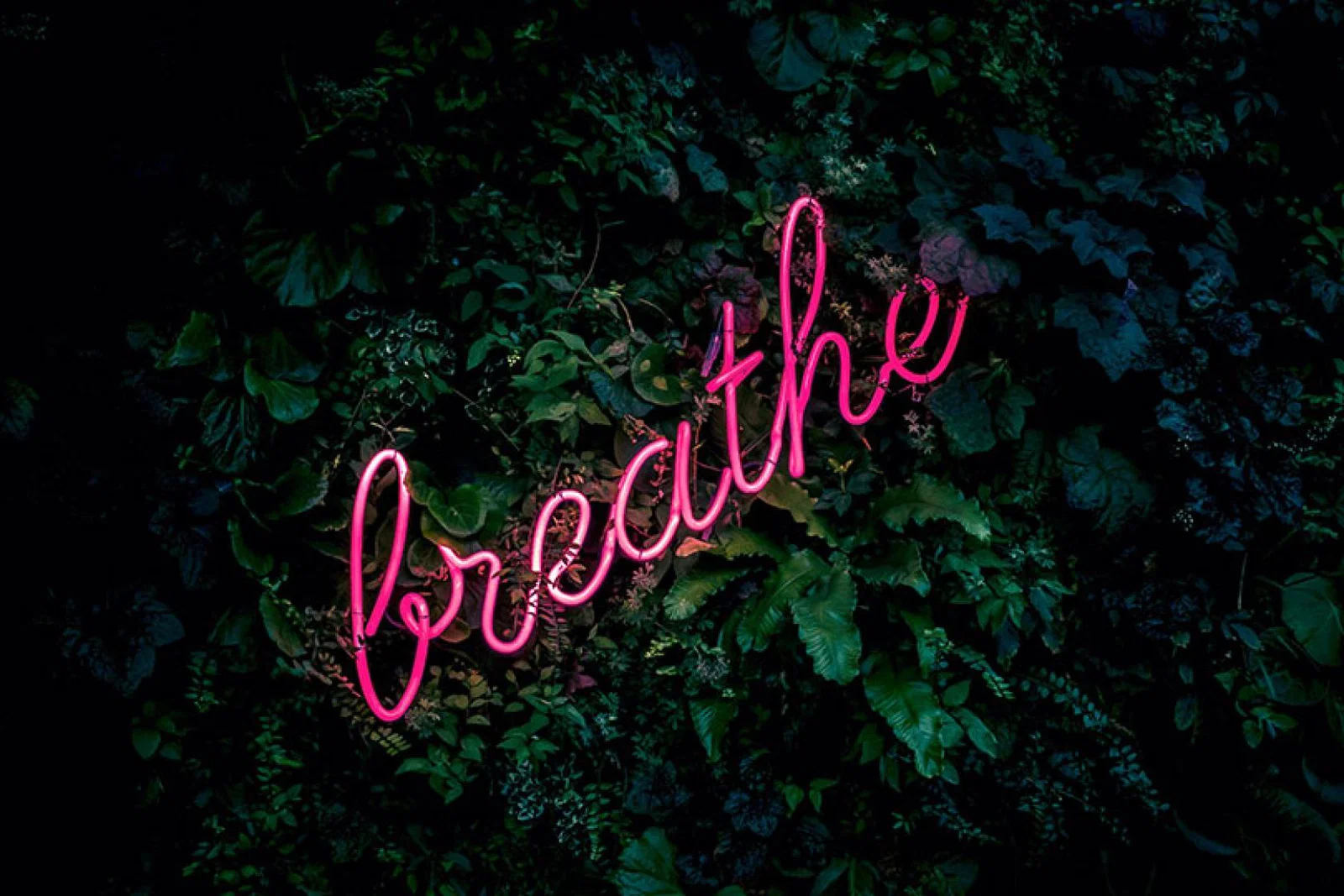 Image: Fabian Moller, Unsplash