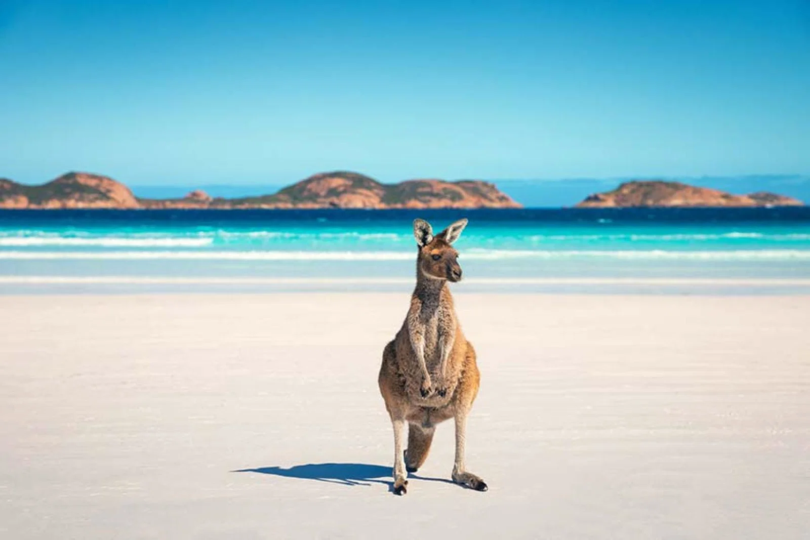 Australia has started peeling back its Covid border restrictions