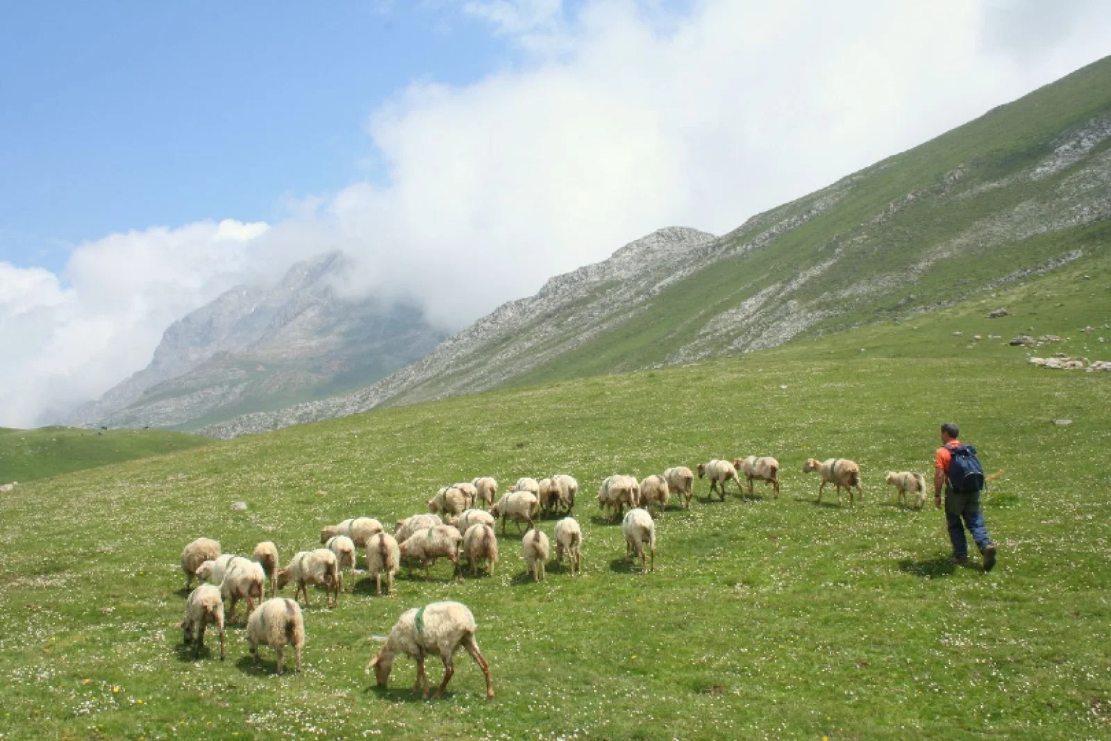 It claims to be the first tour operator in the UK to make the move