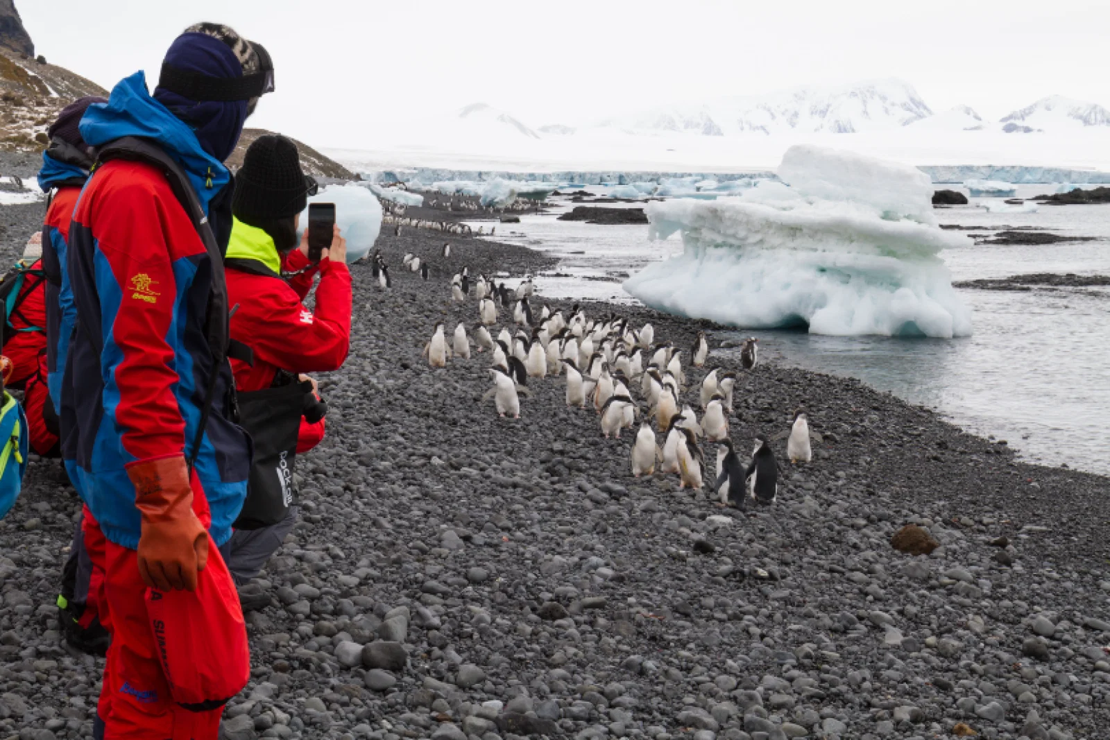 The cruise line partnered with the #WeTwo Foundation to take 10 nominated underprivileged teens on the expedition (Photo: Chelsea Claus)