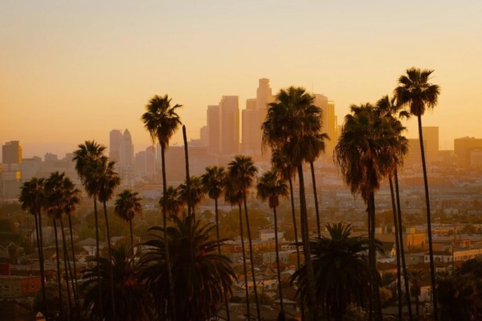 Los Angeles (credit: Cedric Letsch/Unsplash)