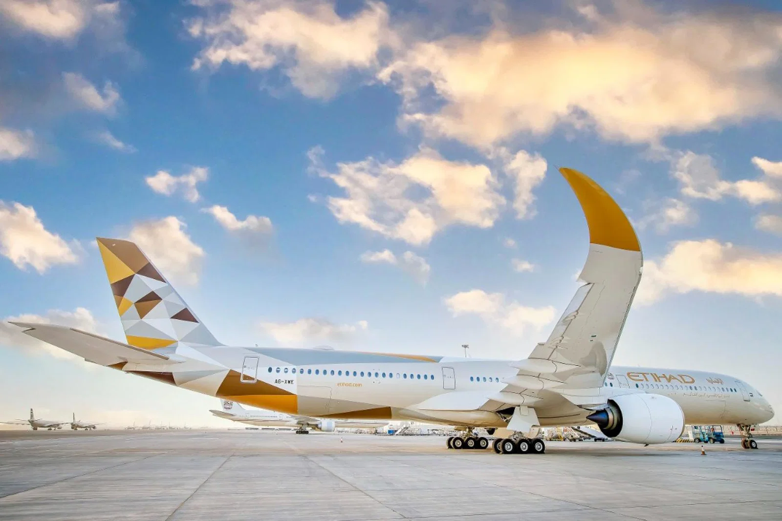 Etihad has asked all passengers to check in online and arrive at the airport early