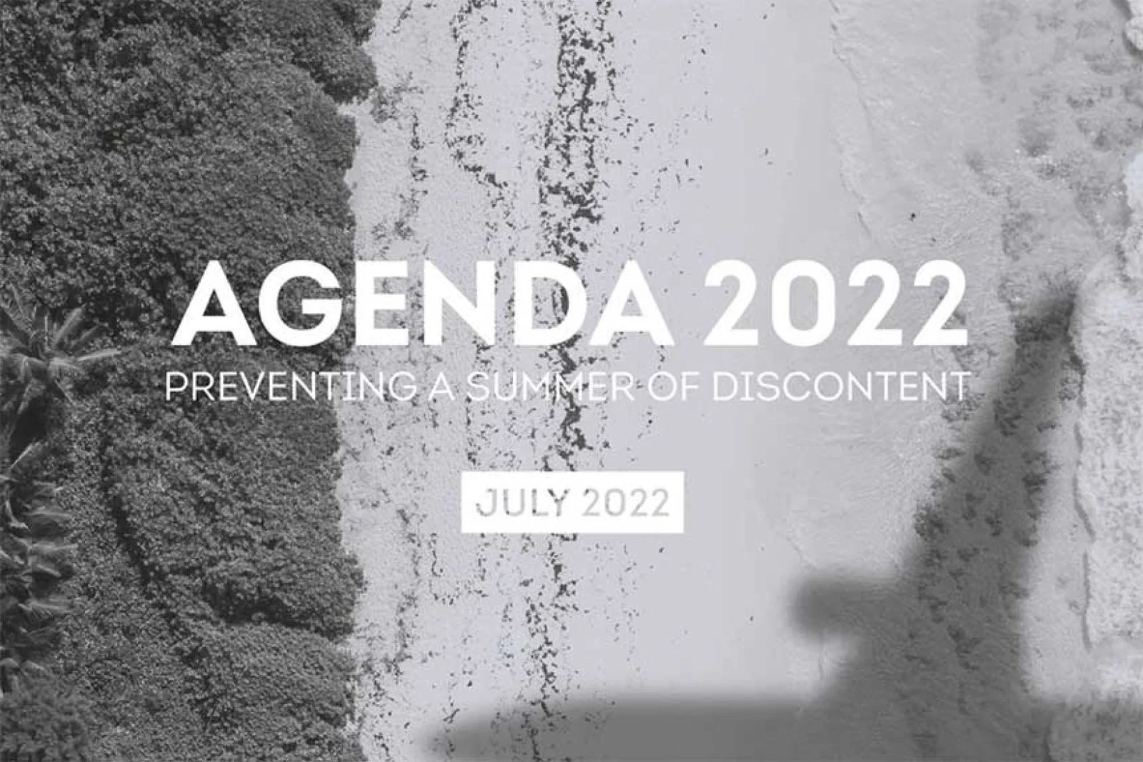 Agenda22-open.jpg