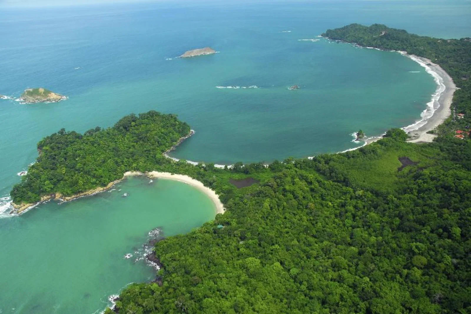 Clients can contribute to projects that plant forests by using the ICT's new carbon calculator. Credit: Manuel Antonio