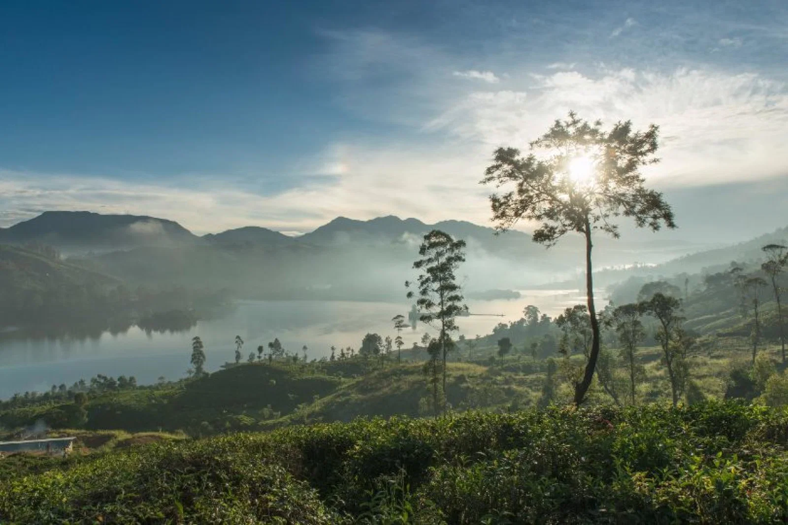 Sri Lanka is entering its traditional peak season. Credit: Resplendent Ceylon/Sebastian Posingis