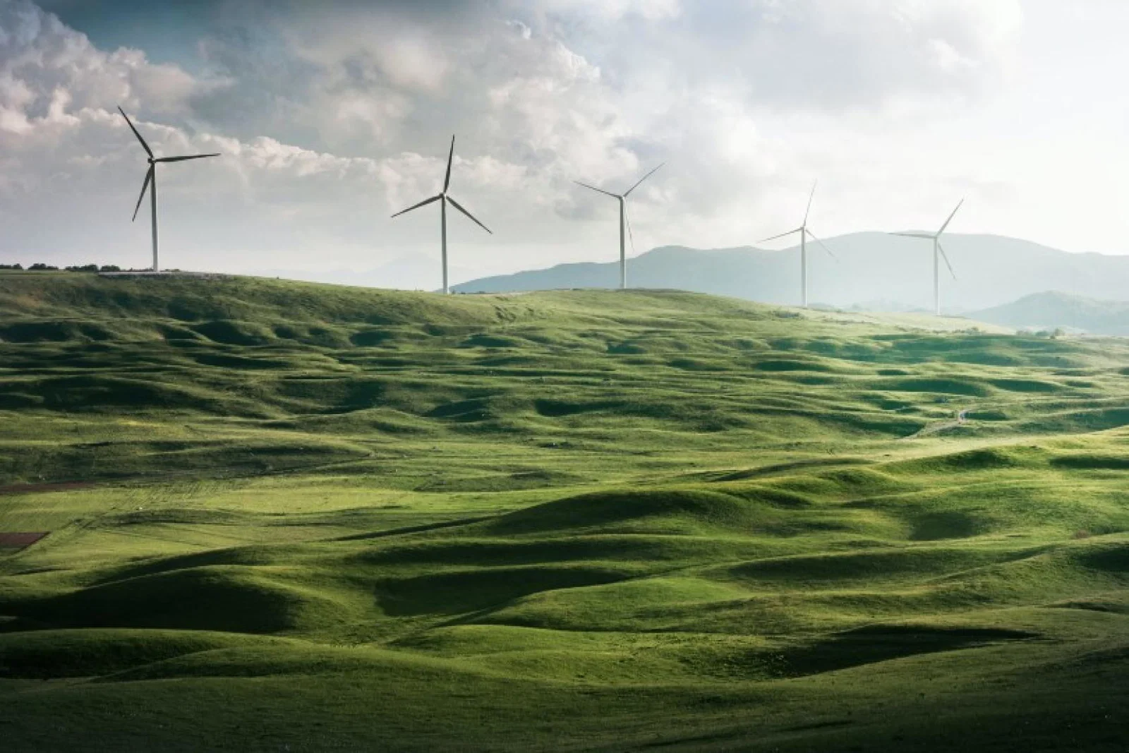 What is truly sustainable versus greenwashing in travel and tourism? (Credit: Unsplash / Appolinary Kalashnikova)
