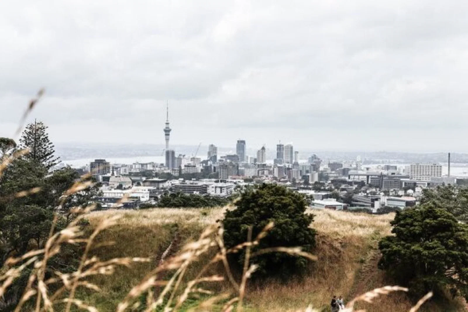Auckland, New Zealand (Credit: Belle Co / Pexels)