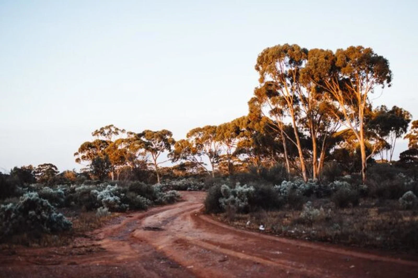Australia bush pexels-rachel-claire-4846090.jpg (Credit: Rachel Claire / Pexels)
